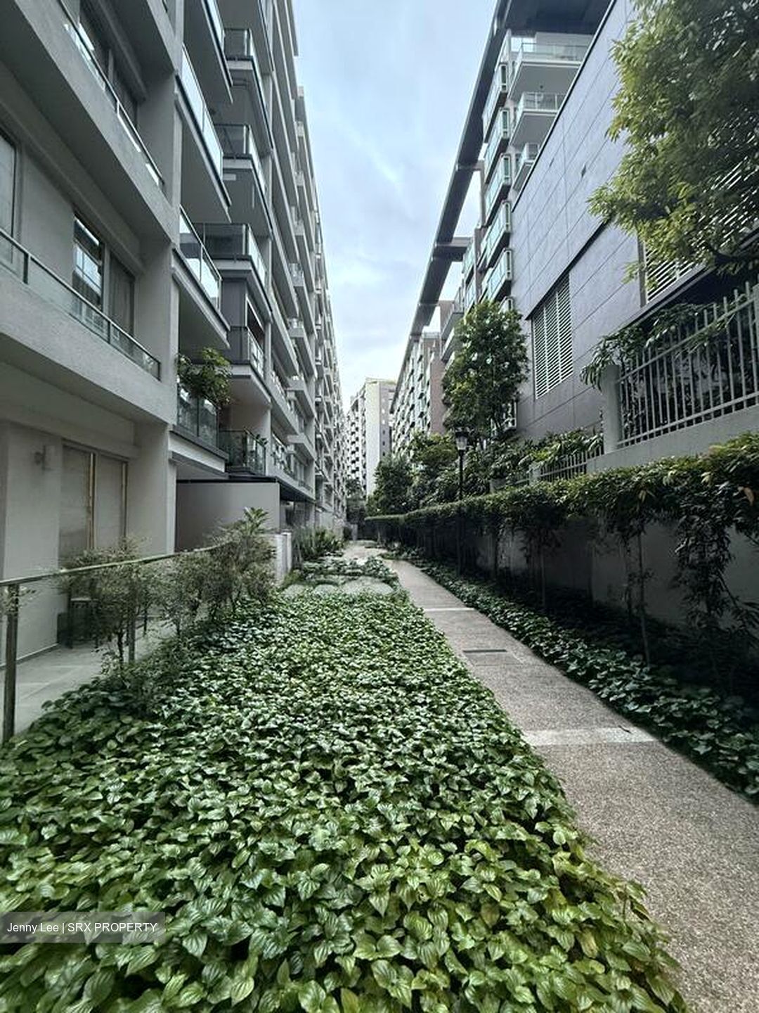 8 @ Mount Sophia (D9), Condominium #513042261